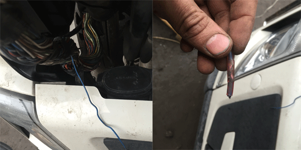 Дилерская усадка не лучшее решение проблемы Remont jelektroprovodki Volvo FM